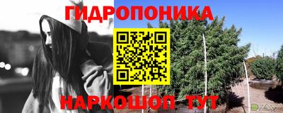ГАЛЛЮЦИНОГЕННЫЕ ГРИБЫ Среднеуральск