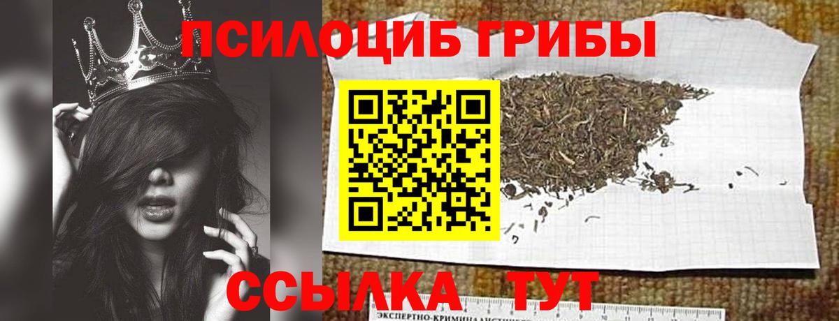 Рыбинск  Псилоцибиновые грибы прущие грибы  Вход с VPN  Псилоцибиновые грибы мицелий 